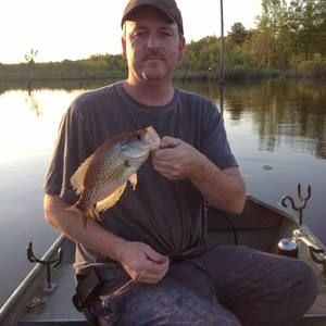 Meet your Posher, Mickey